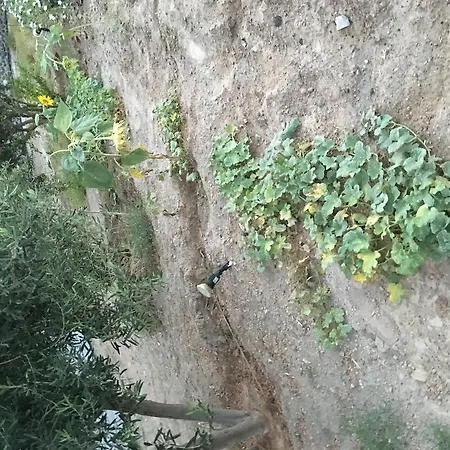 Felicity Luxury Willa Kamári