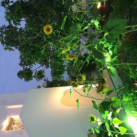 Willa Felicity Luxury *