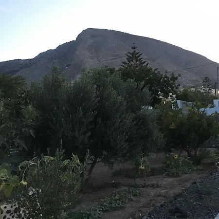 Felicity Luxury Вилла *