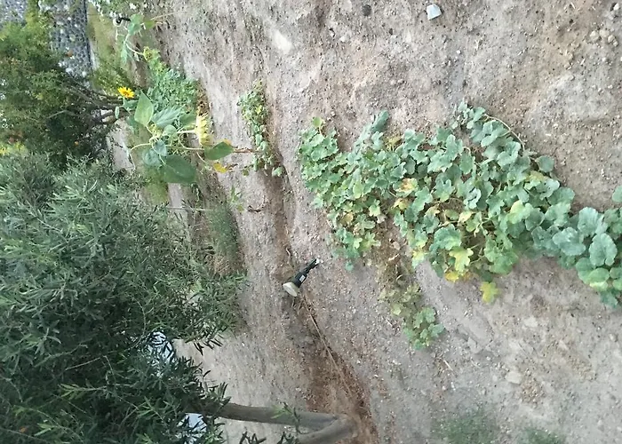 Felicity Luxury Villa Kamári