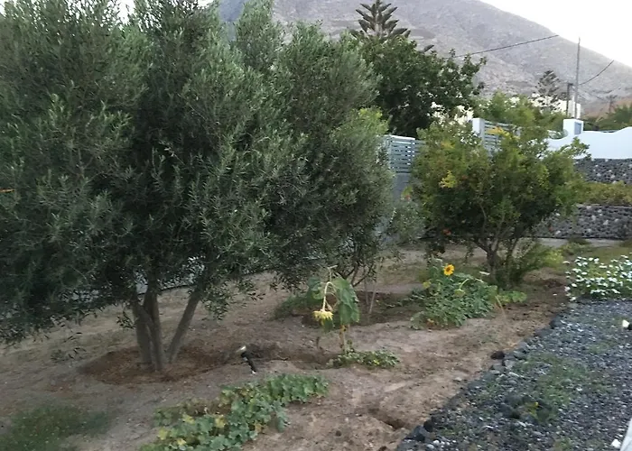 Felicity Luxury Kamári